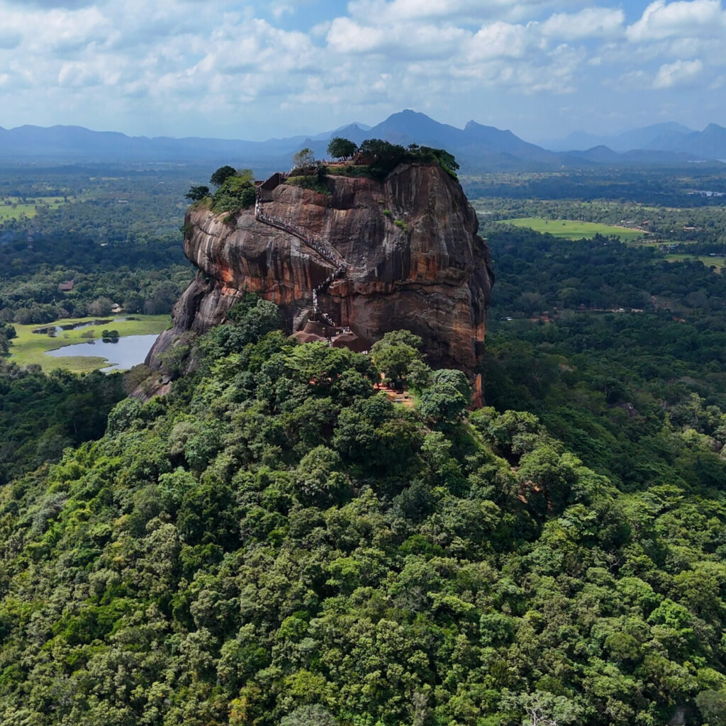 Sigiriya, Dambulla i safari - wycieczka jednodniowa